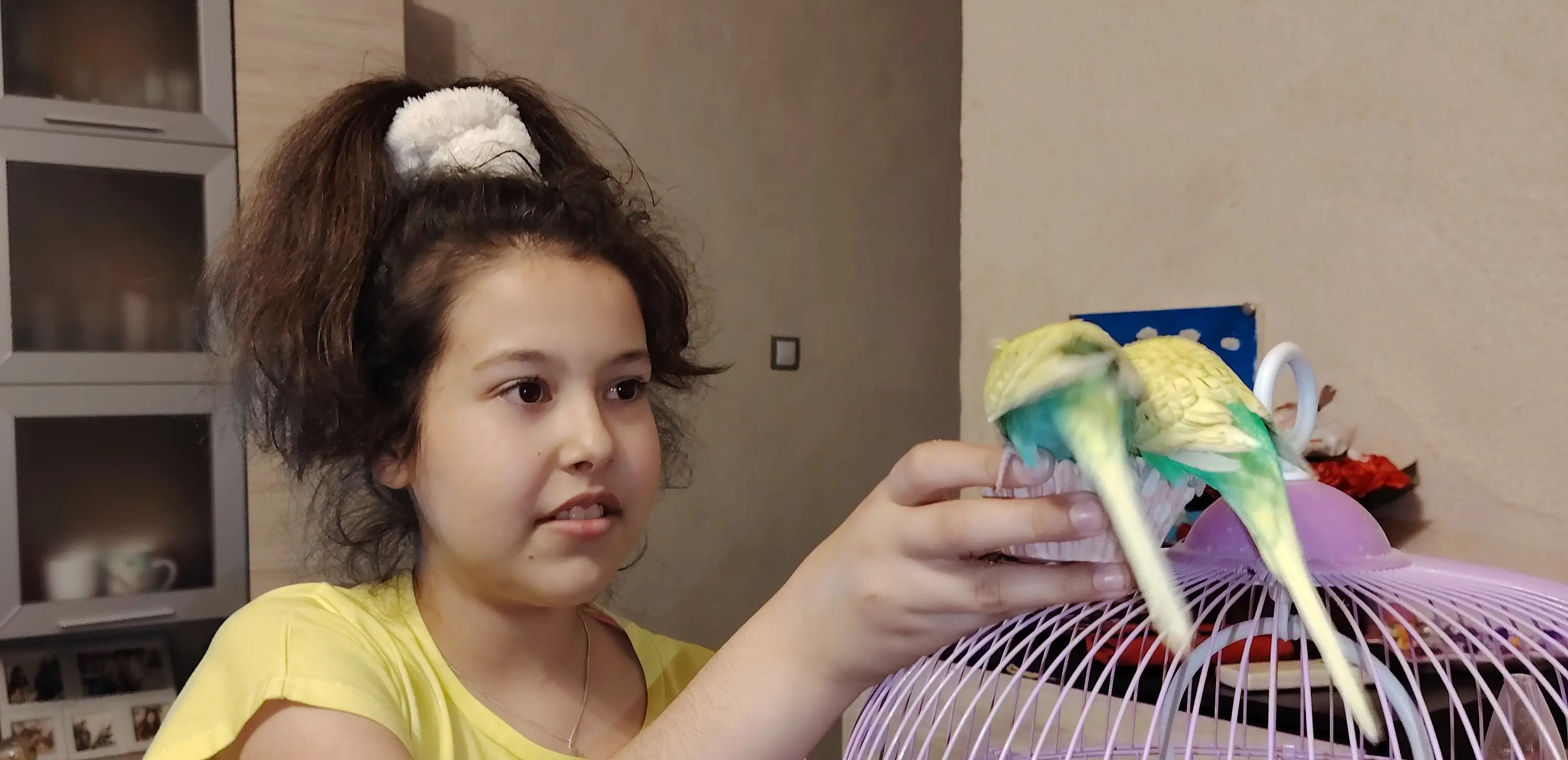 Успешни приказни - Заедно ѝ дадовме шанса за живот на Мартинаела