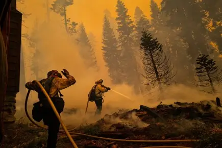 Artikler - Hvordan kan vi hjælpe ved en naturkatastrofe - oversvømmelse, brand, jordskælv