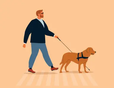 Artikler - Indsamlingskampagne til køb af førerhund. Alt du behøver at vide