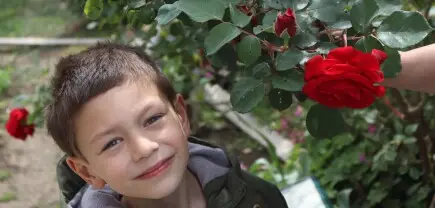 7-year-old Kaloyan underwent a stem cell transplant!