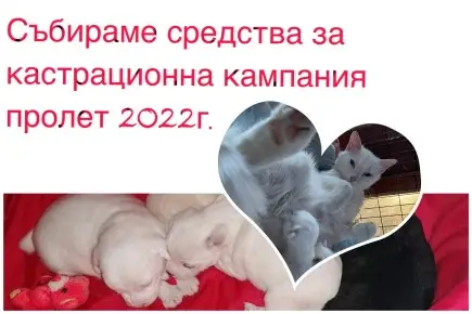 ??Помогни в кастрационна кампания 2022 - Одобрено изплащане